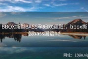 BBOX撕裂BASS孕妇欢迎您!，bbox撕裂bass国语hd