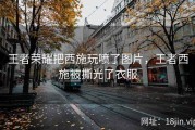 王者荣耀把西施玩喷了图片，王者西施被撕光了衣服