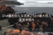 37vt最大但人文艺术，37vt最大但人文艺术图片
