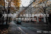 大数据时代：从海量信息中提取改变世界的真知灼见