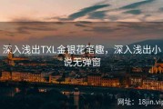 深入浅出TXL金银花笔趣，深入浅出小说无弹窗