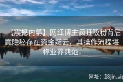 【震撼内幕】网红博主疯狂吸粉背后竟隐秘存在资金疑云，其操作流程堪称业界典范！