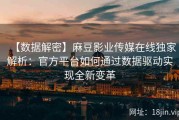 【数据解密】麻豆影业传媒在线独家解析：官方平台如何通过数据驱动实现全新变革