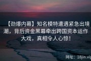【劲爆内幕】知名模特遭遇紧急出境潮，背后资金黑幕牵出跨国资本运作大戏，真相令人心惊！