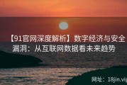 【91官网深度解析】数字经济与安全漏洞：从互联网数据看未来趋势