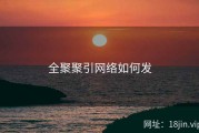 全聚聚引网络如何发