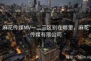 麻花传媒MV一二三区别在哪里，麻花传媒有限公司