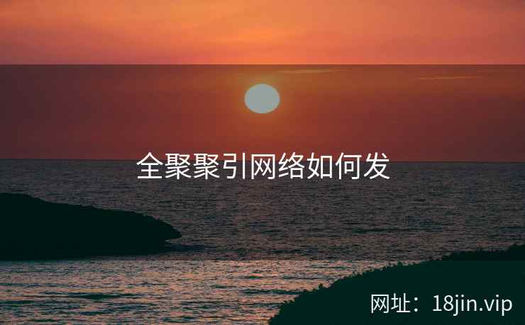 全聚聚引网络如何发