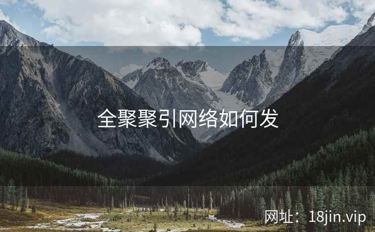 全聚聚引网络如何发