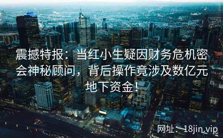 震撼特报：当红小生疑因财务危机密会神秘顾问，背后操作竟涉及数亿元地下资金！