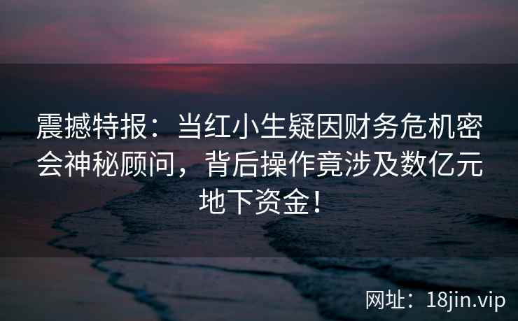 震撼特报：当红小生疑因财务危机密会神秘顾问，背后操作竟涉及数亿元地下资金！