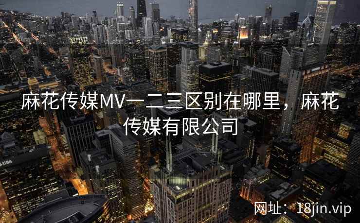 麻花传媒MV一二三区别在哪里，麻花传媒有限公司