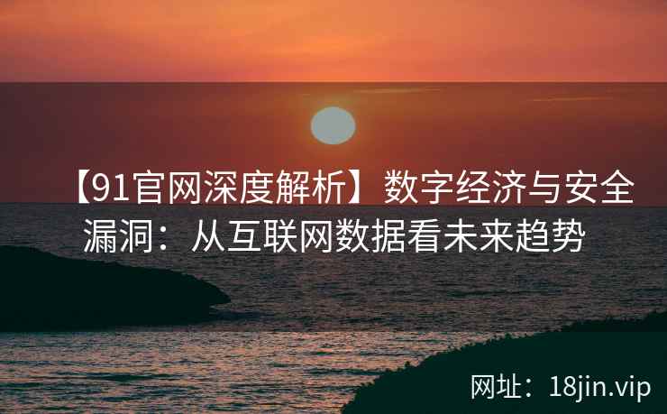 【91官网深度解析】数字经济与安全漏洞：从互联网数据看未来趋势