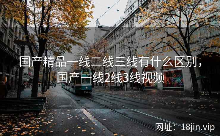 国产精品一线二线三线有什么区别，国产一线2线3线视频