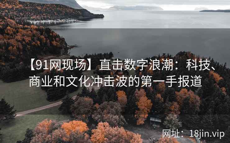【91网现场】直击数字浪潮：科技、商业和文化冲击波的第一手报道