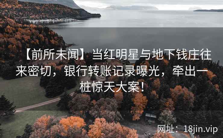 【前所未闻】当红明星与地下钱庄往来密切，银行转账记录曝光，牵出一桩惊天大案！
